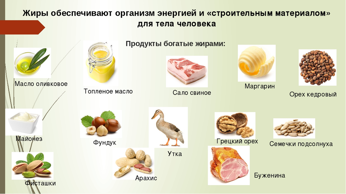 Лучшие белки для организма. Продукты с высоким содержанием жиров полезных. Еда с высоким содержанием жира. Список продуктов с высоким содержанием жира. Где содержится жиры в каких продуктах.