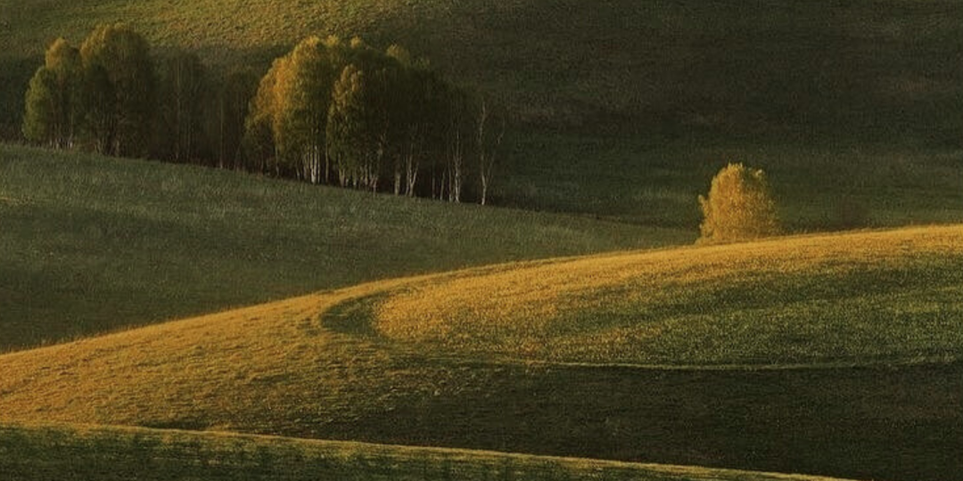 ЛОВЦЫ СВЕТА