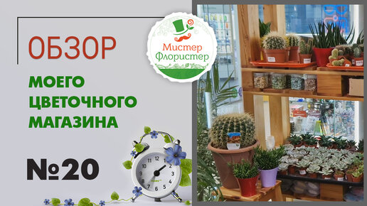 #20 Обзор цветочного магазина 