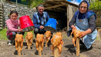 Расслабляющие Видеоролики О Жизни В Азербайджанской Деревне | Вкусные Блюда В Соответствии С Традициями