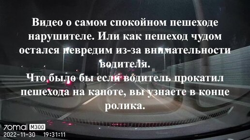 Видео о самом везучем и спокойном пешеходе, что будет водителю если он допустит на него наезд вне пешеходного перехода