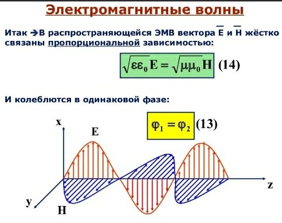 Когерентность электрических и магнитных колебаний в ЭМВ
