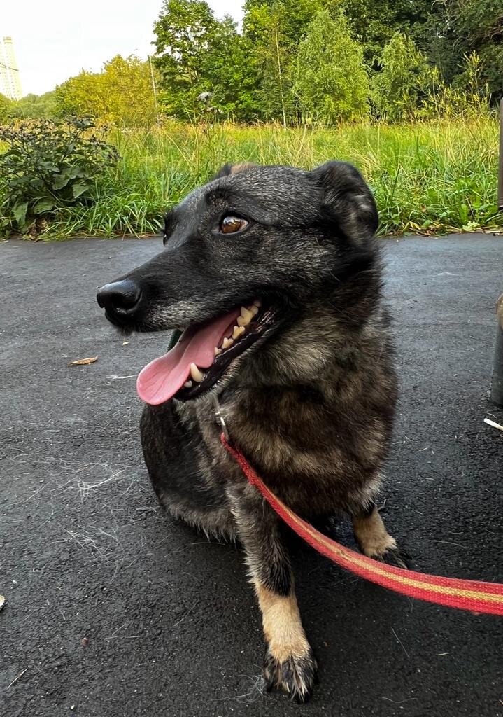 Мати примерно гуляла по парку, подошла с участниками мероприятия к пруду и любовалась утками. Может, конечно, и только вид делала, что любуется, но получалась у нее убедительно