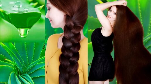 Алоэ - супер средство для роста волос и увлажнения. Уход за волосами и как отратстить здоровые волосы.