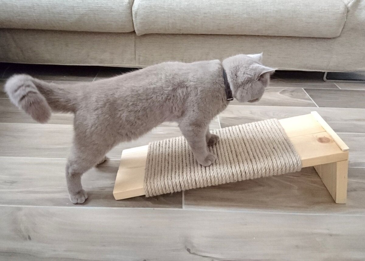 чтобы кот не рвал мебель