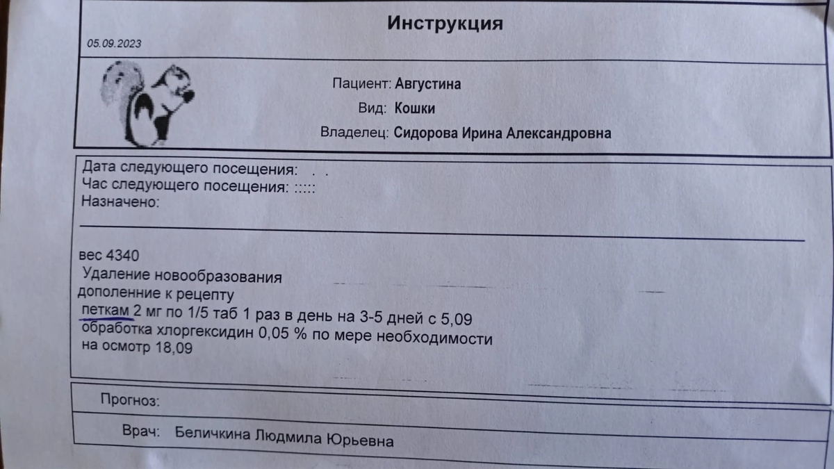 Друзья, помогите пожалуйста погасить долг за кошку Августину. | Дорога  Домой г. Муром | Дзен