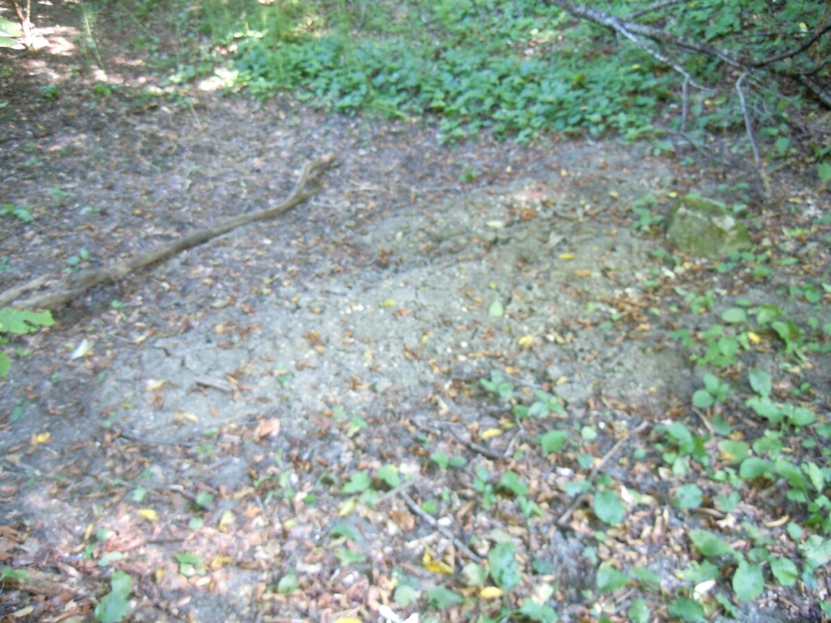 Ранее уже упоминал в другой теме об этом феномене. В 2023 году сделал несколько снимков. Вот самый красивый гладкий участок каменной дороги на пути из станицы Севастопольская к посёлку Победа.-28