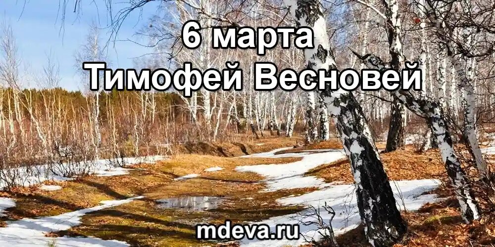 6 марта по народному календарю Тимофей Весновей