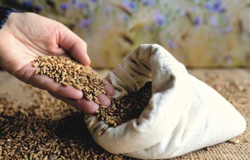    Украина «высосала кислород» из Мировой продовольственной программы