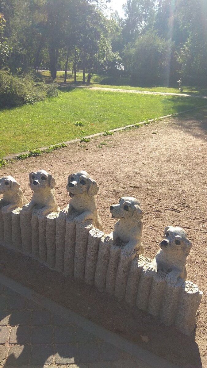 Собачки в сквере