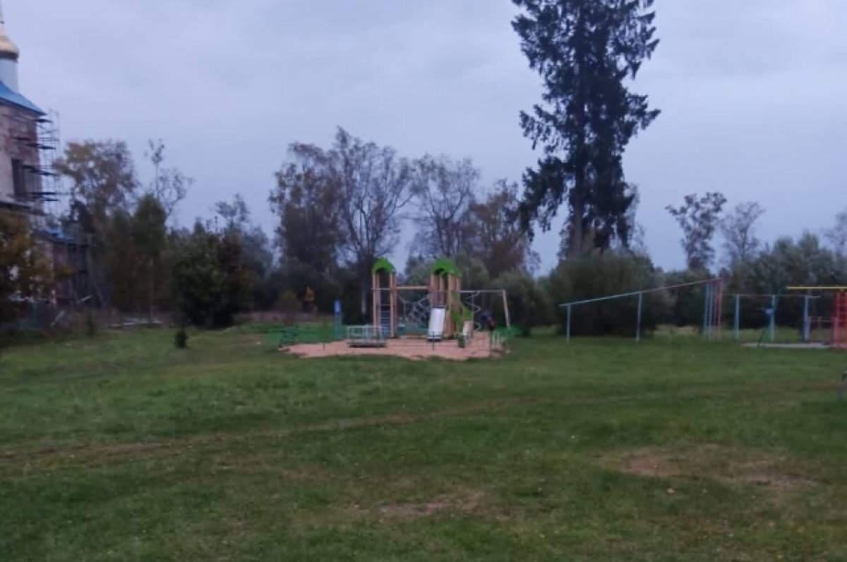    Под Тверью на детской площадке собака напала на 7-летнего ребёнка