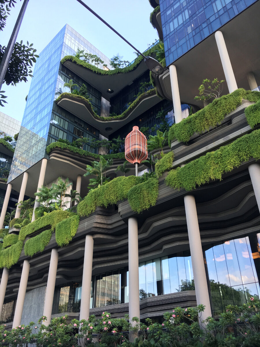 САДЫ У ЗАЛИВА В СИНГАПУРЕ — GARDENS BY THE BAY