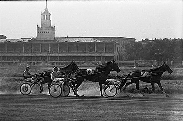 Лошадиные скачки привлекали многих москвичей возможностью интересно провести время.
