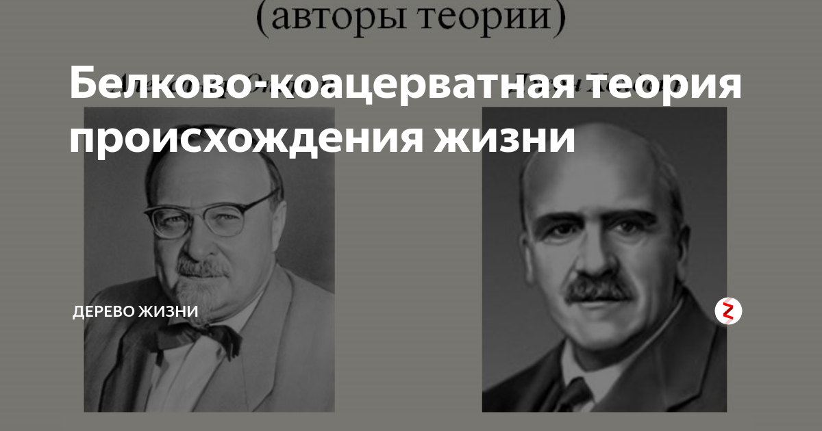 Опарин и Холдейн. Коацерватная теория. Опарин Холдейн теория возникновения жизни. Опарин происхождение жизни.