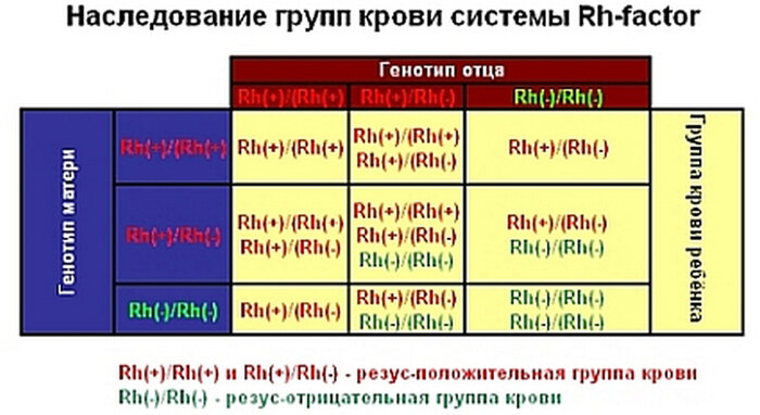 Группа крови и генетика genetyka.com.ua