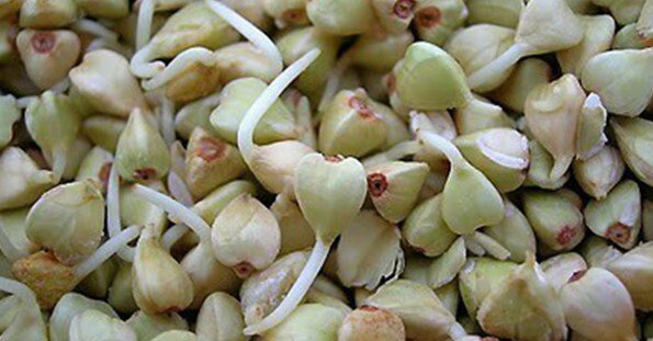 Зеленую гречку не нужно варить!