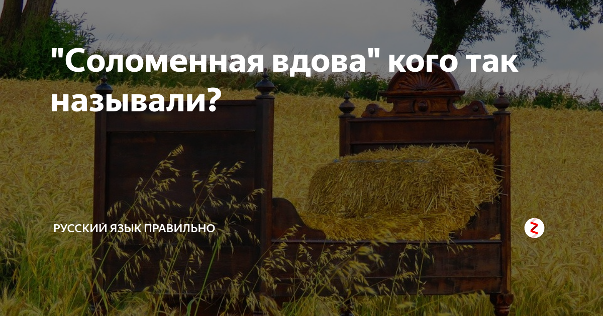"Соломенная вдова" кого так называли? | Русский язык правильно | Дзен