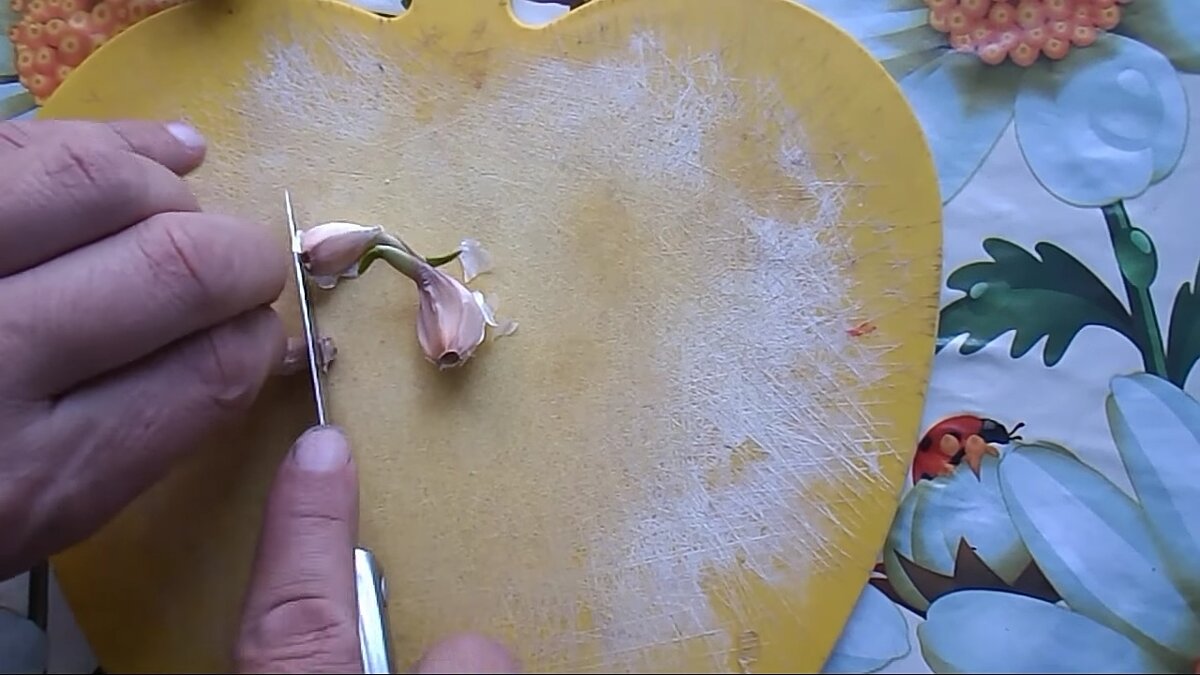 фото как сделать ароматизатор для рыбалки