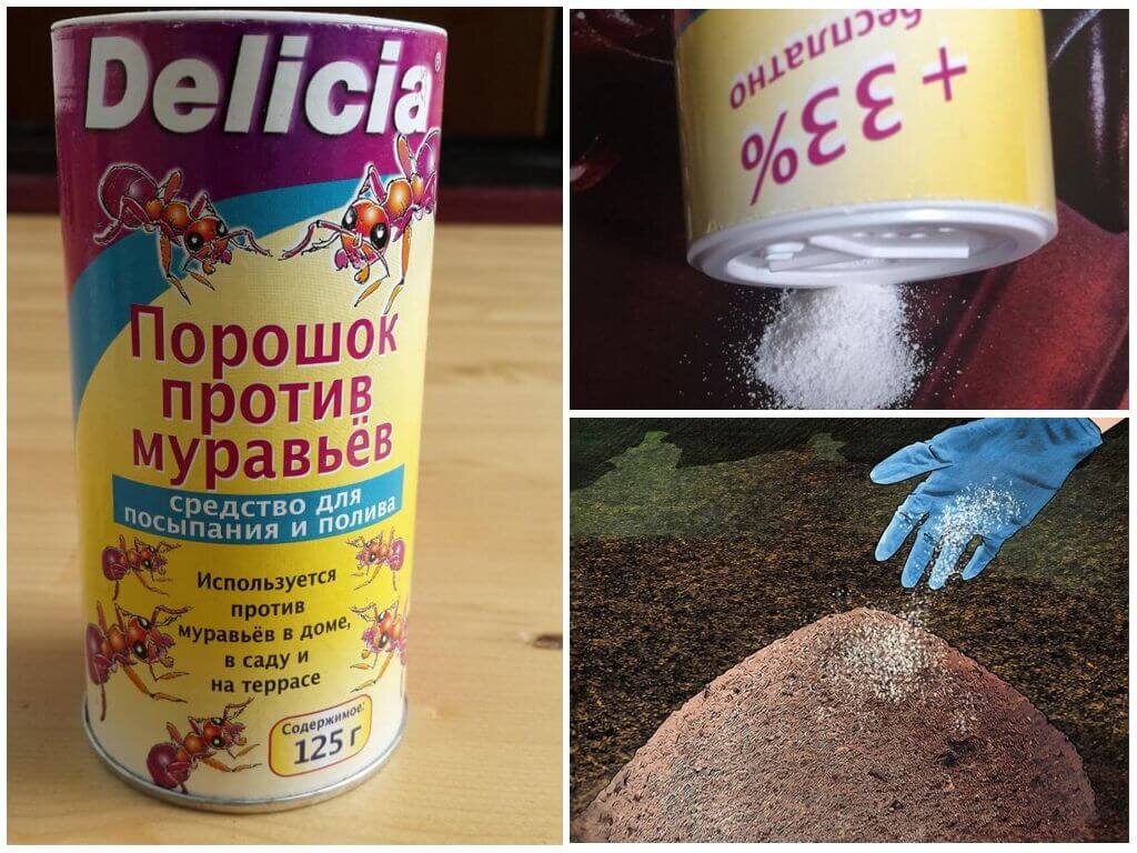 Порошок Delicia от муравьёв, стоимость за 500г более 600 рублей.