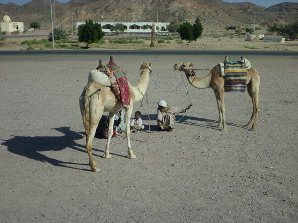 остановка на полпути на перекур