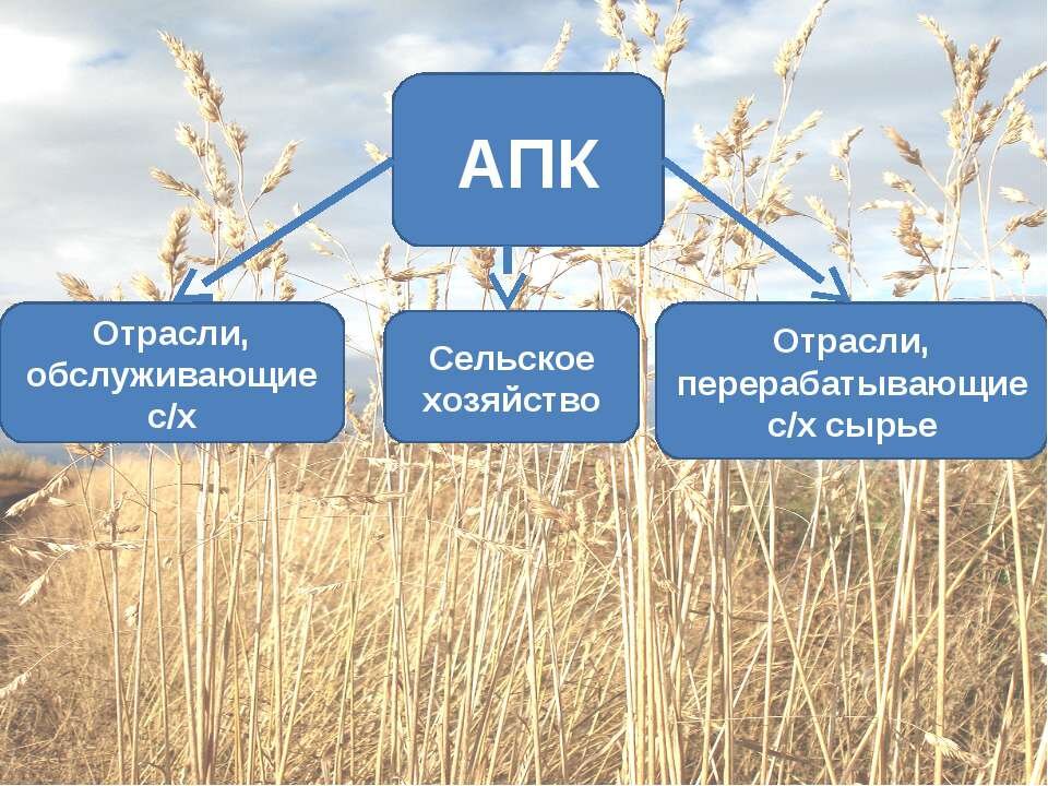 эконива карта. регионы рф и отрасли сельского хозяйства. апк отрасли обслуживающие апк. где находится апк. агропромышленный комплекс.
