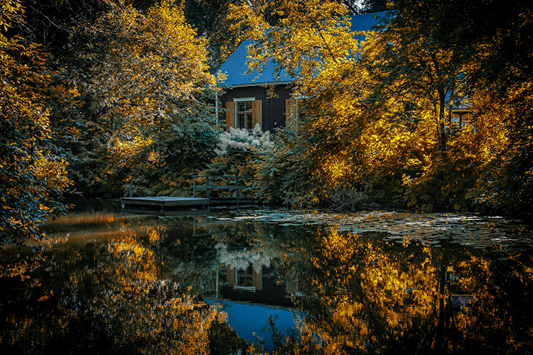 Фото: flickr.com