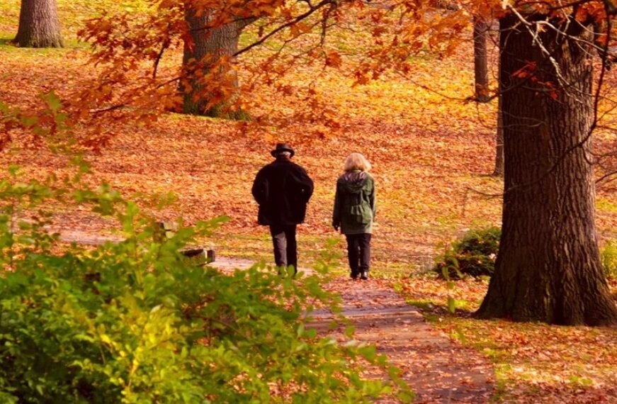 Гулял октябрь. Осенняя прогулка. Прогулка осенью. Прогулка по осеннему лесу. Прогулка по осеннему парку.