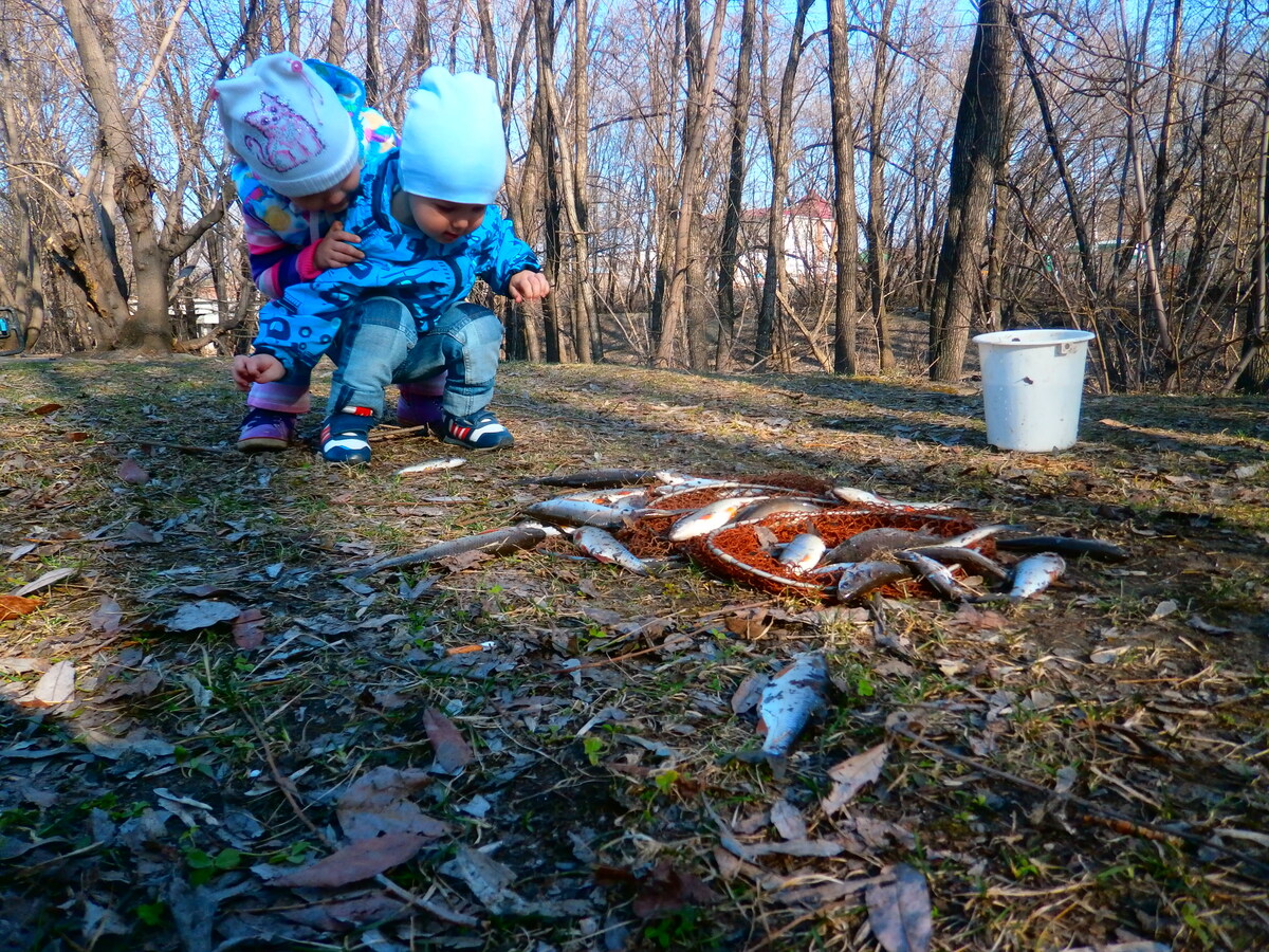                                                               Знакомство