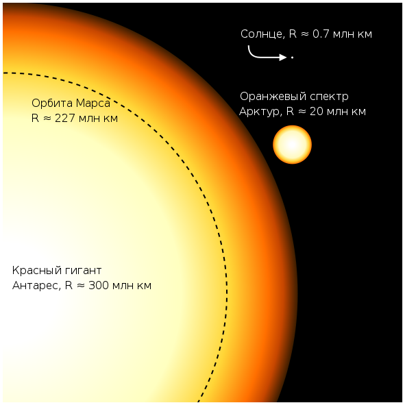 Сравнение размеров Антареса, Арктура, Солнца и орбиты Марса