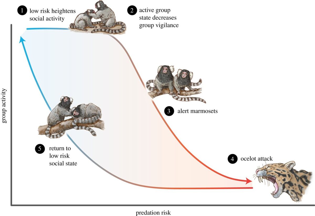 Источник «Social tipping points in animal societies»