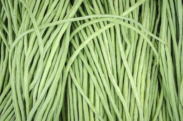 Фото pixabay.com