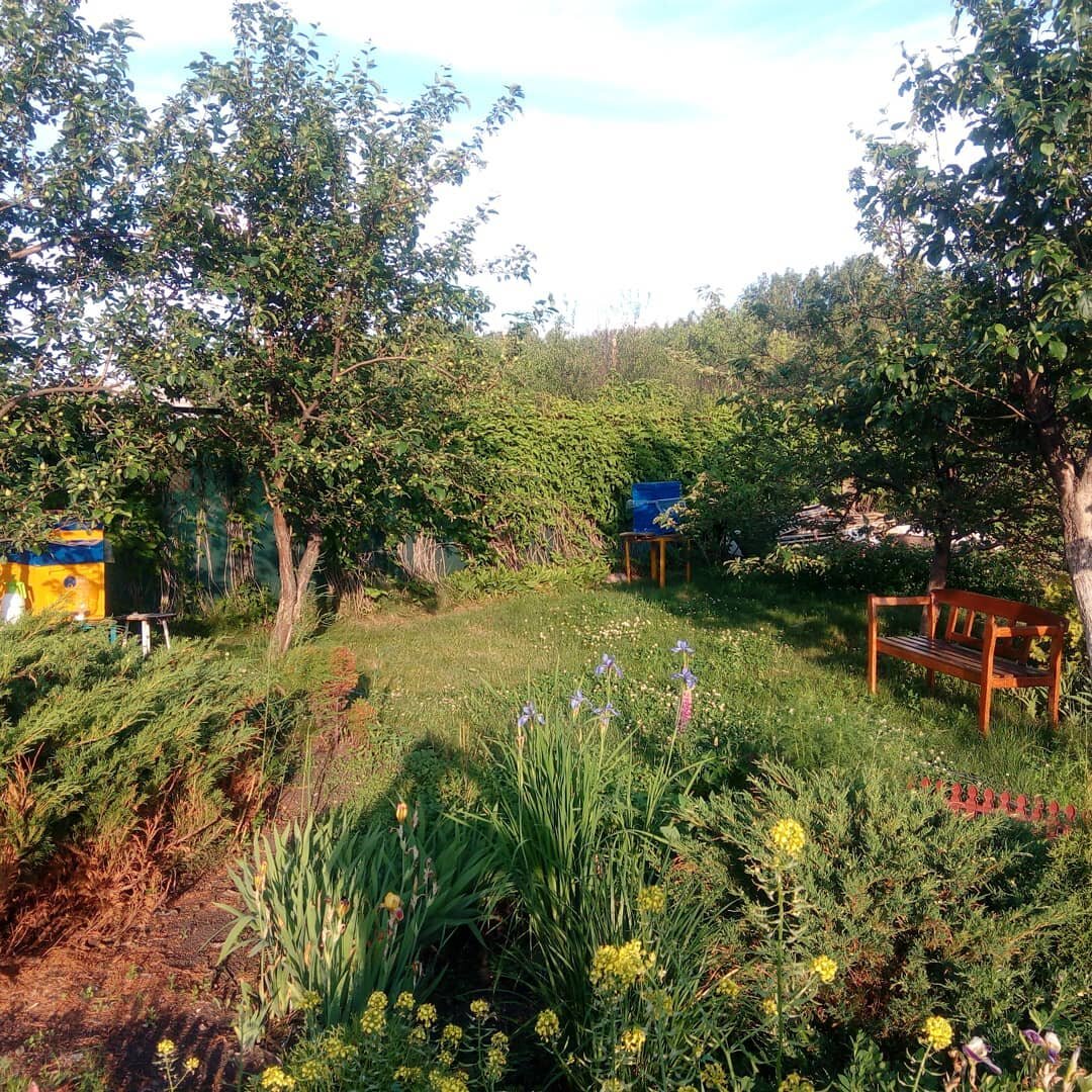 Моя первая маленькая пасека.