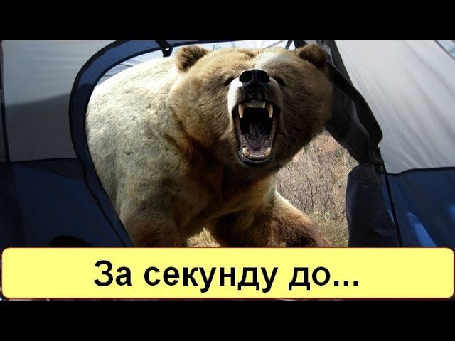 Подборка удач и везения.