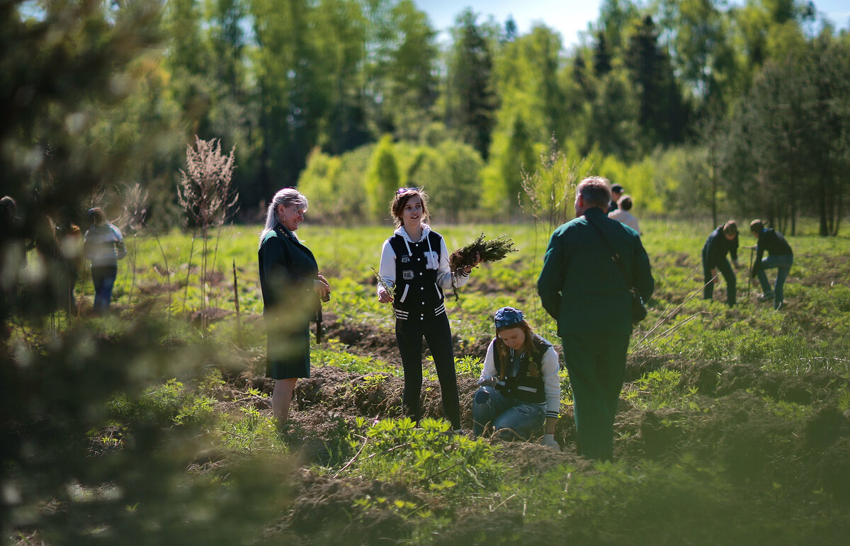 phototass2.cdnvideo.ru