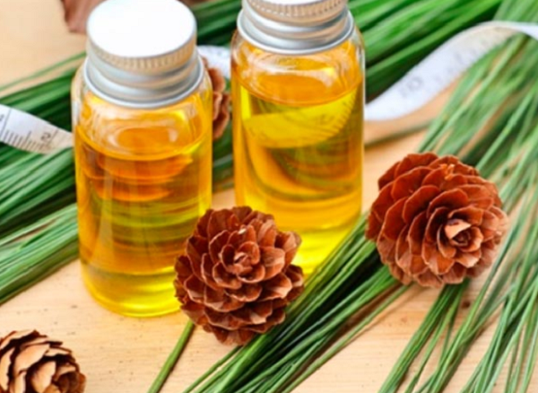 фото:  https://agroflora.ru/