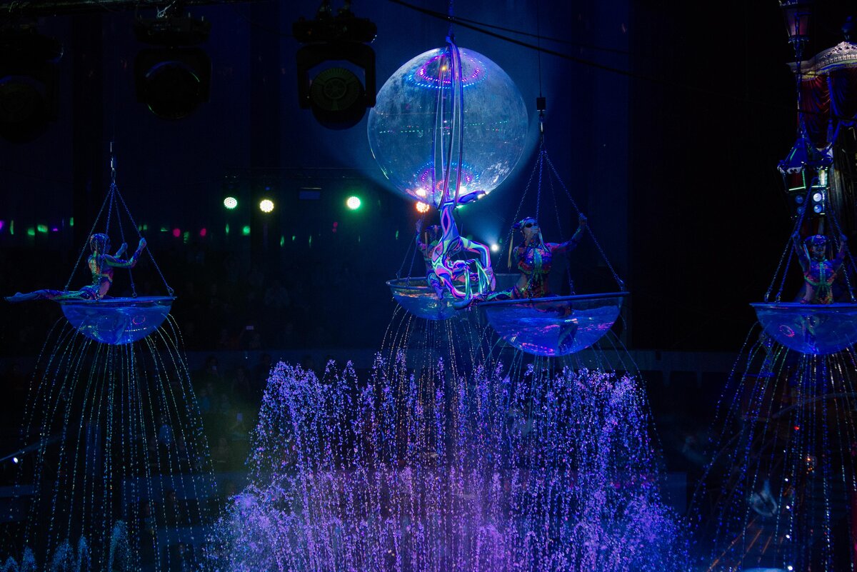 Цирк георгиевск 2024. Цирк на воде. Новогоднее шоу на воде. Цирк на воде Кемерово. Цирк фонтаны воды.