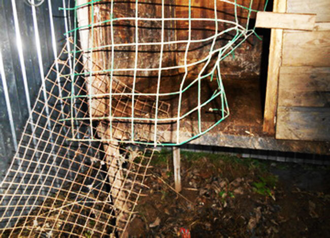 Сломанная клетка