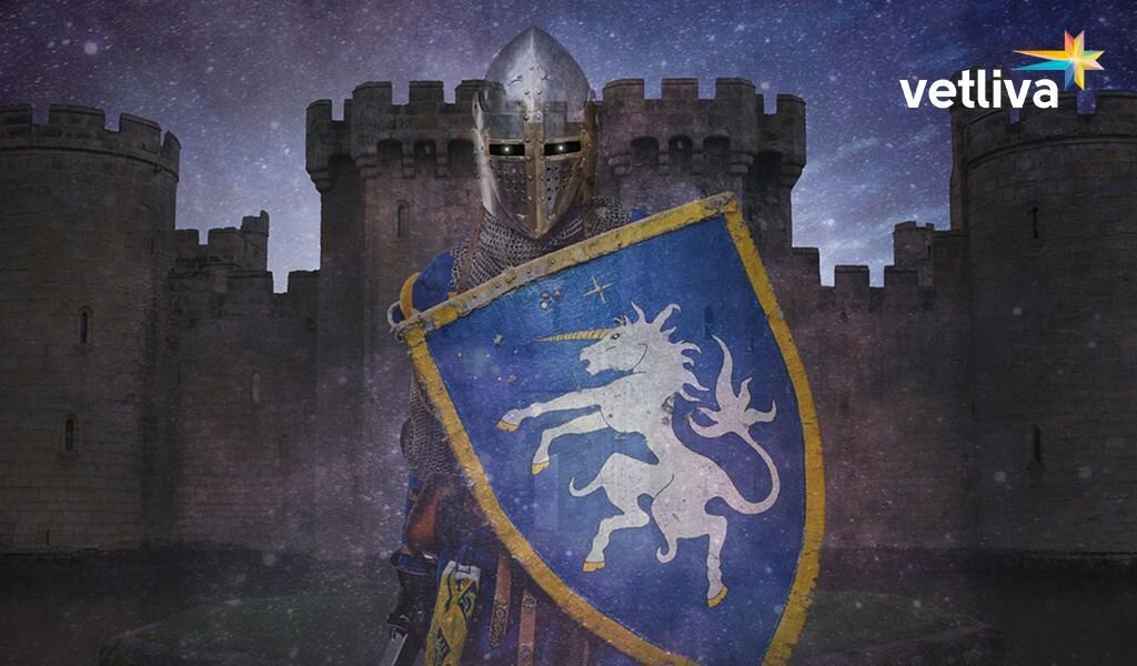 Мистические сражения в Гольшанском замке