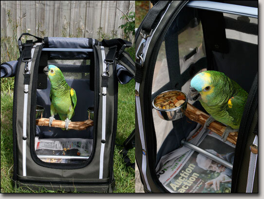 Источник фото - сервис поиска "Яндекс.Картинки"