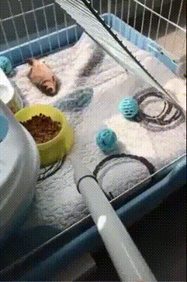 Кто ты,чудовище?