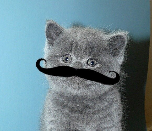 Источник lapochka-dz.ru