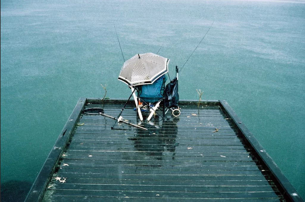 Источник: https://yandex.ru/images/