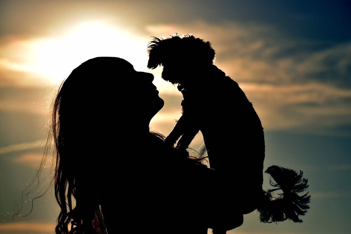 Изображение Rebecca Schönbrodt-Rühl с сайта Pixabay 