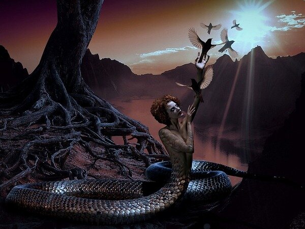 Видеть во сне как душишь змею. К чему снится Видеть во сне как душишь змею - Сонник онлайн