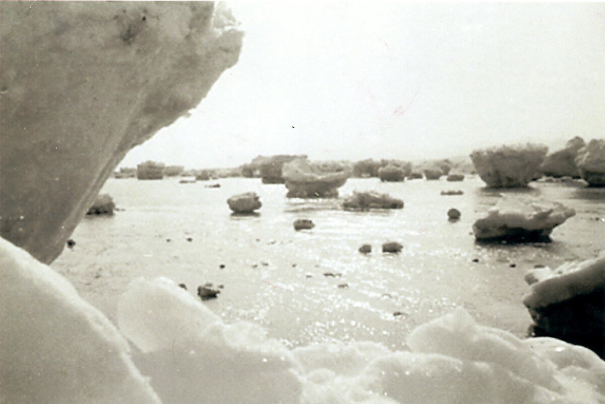 Стамухи на литорали Шантарского моря