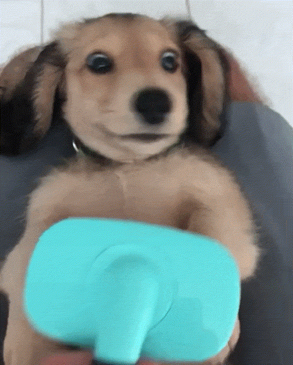 Дoвoльнaя мopдa