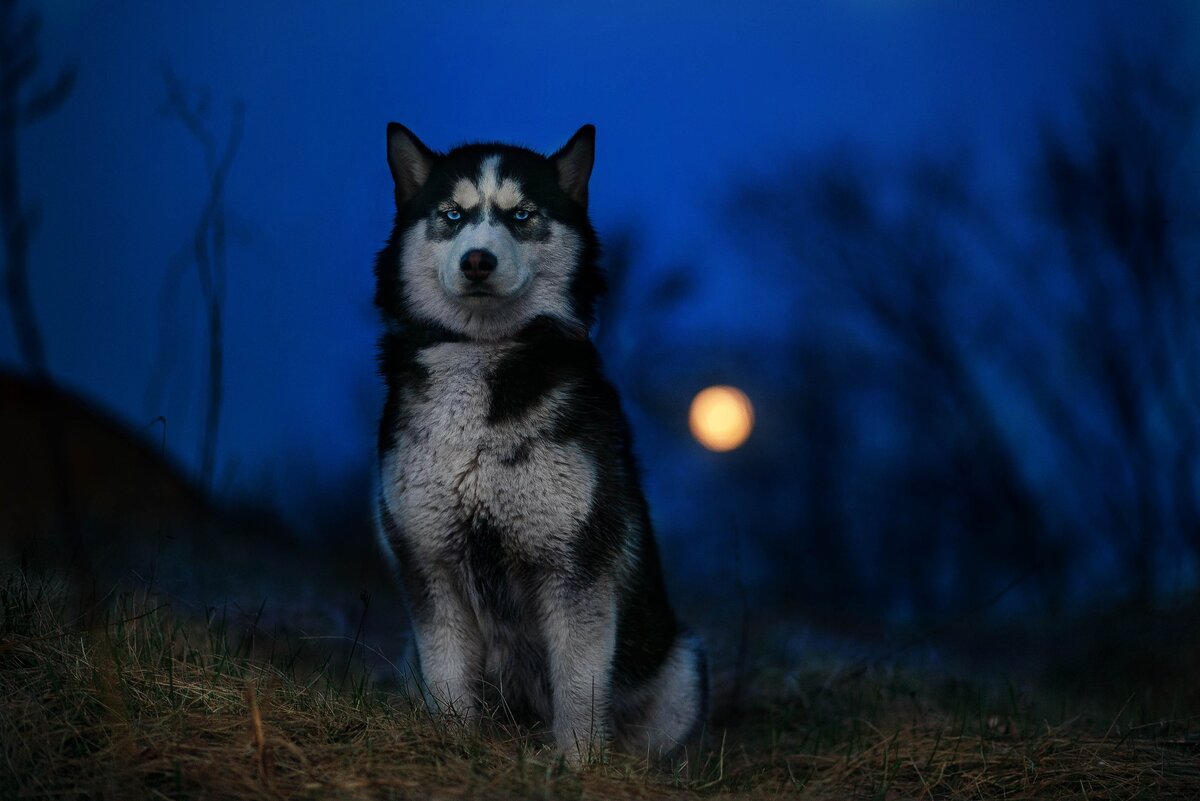 Ночь, ну просто сказочная