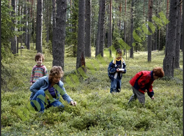 фото из интернета