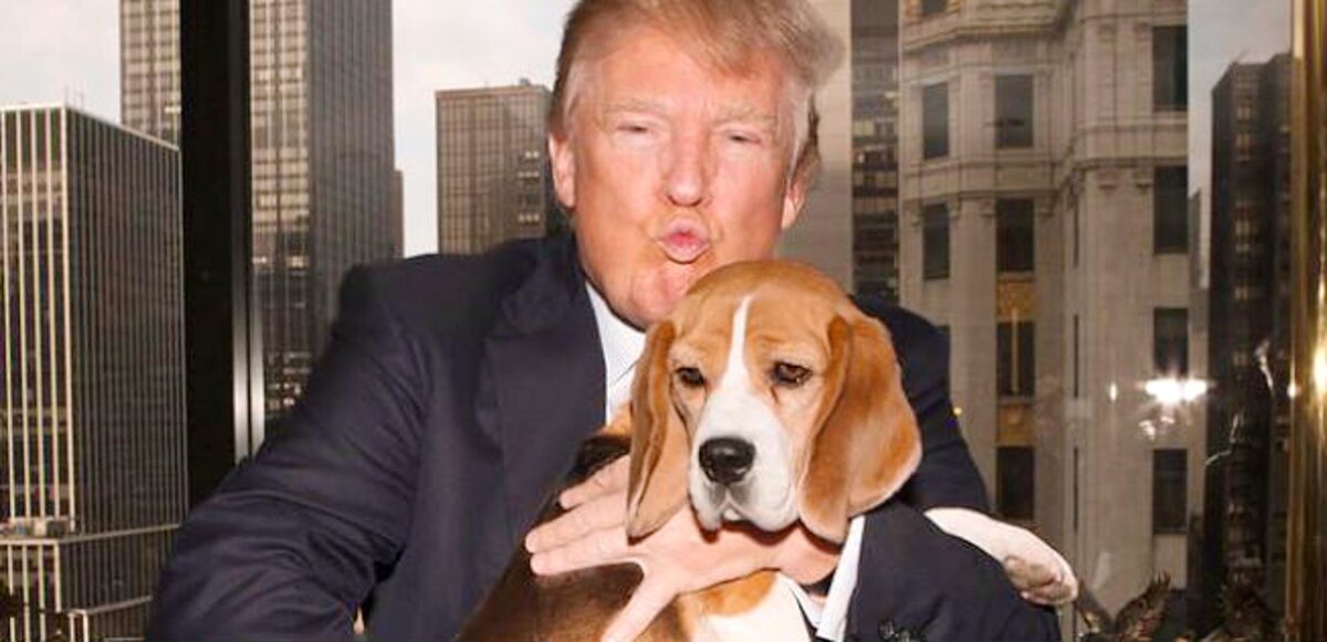 Фото из https://aerotelegraph.imgix.net/