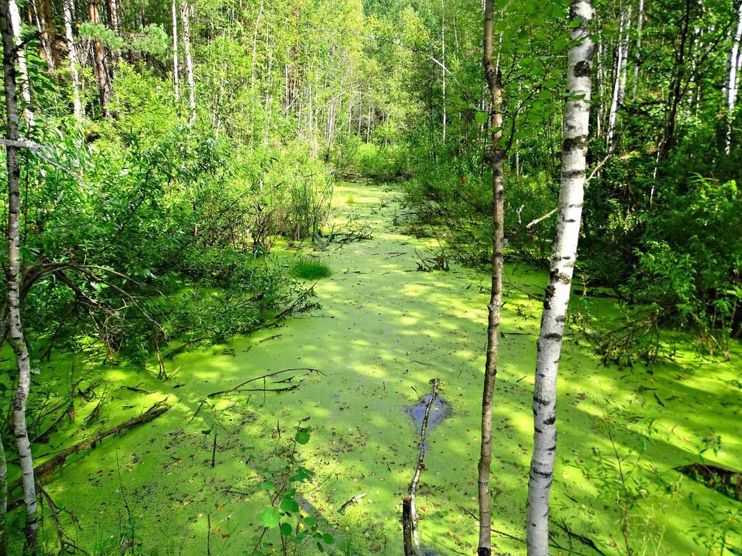 Источник: http://fotokto.ru/photo/view/5773540.html